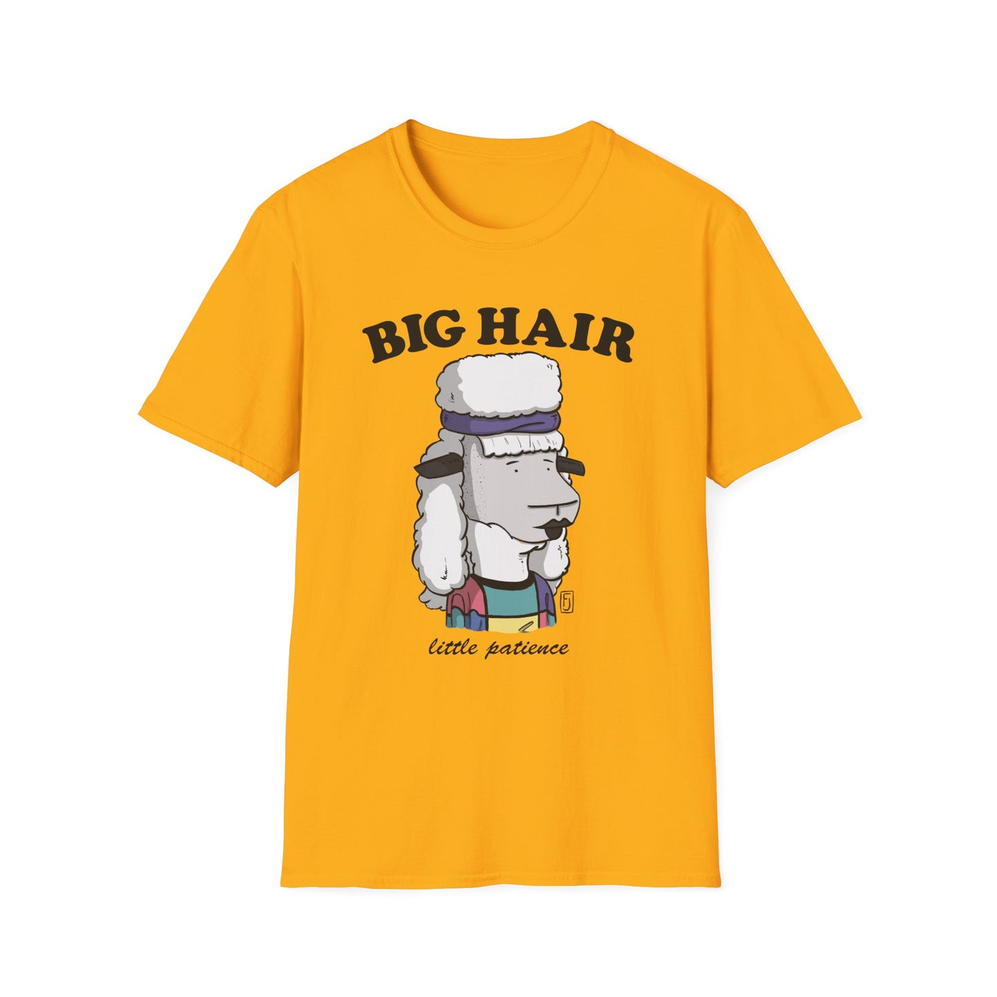 Big Hair Little Patience T-Shirt