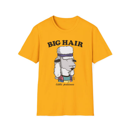 Big Hair Little Patience T-Shirt