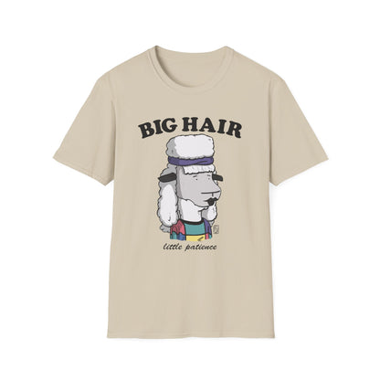 Big Hair Little Patience T-Shirt