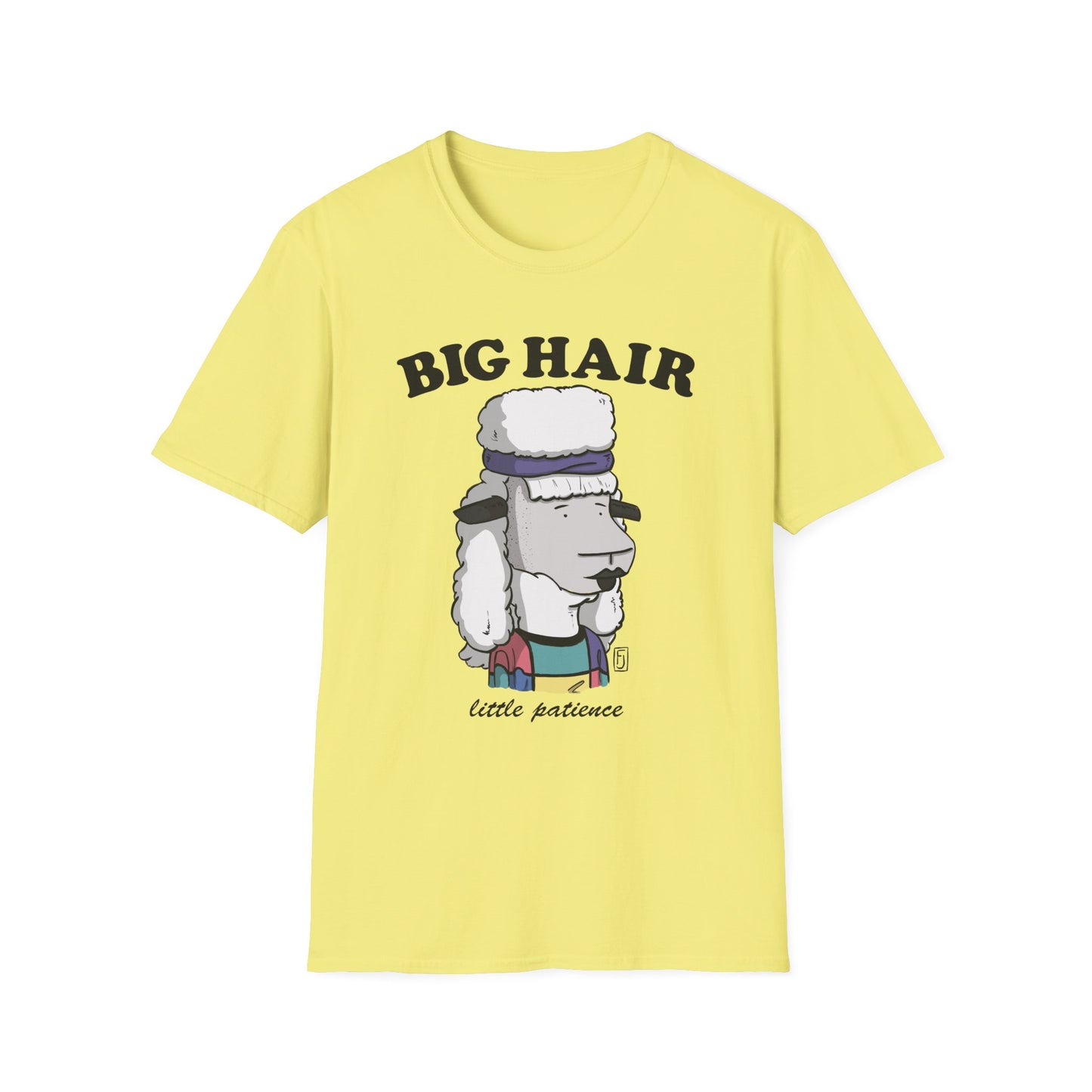 Big Hair Little Patience T-Shirt