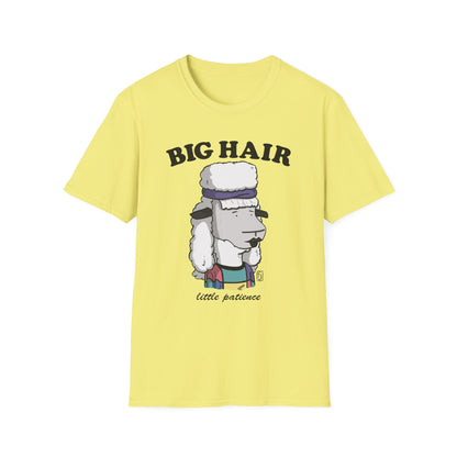 Big Hair Little Patience T-Shirt
