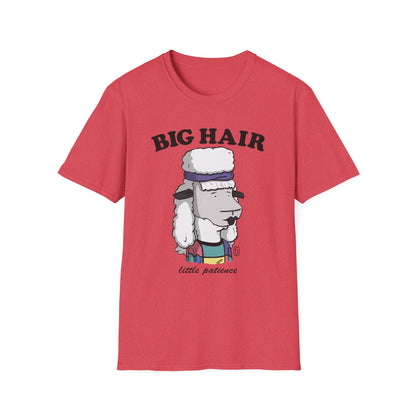 Big Hair Little Patience T-Shirt