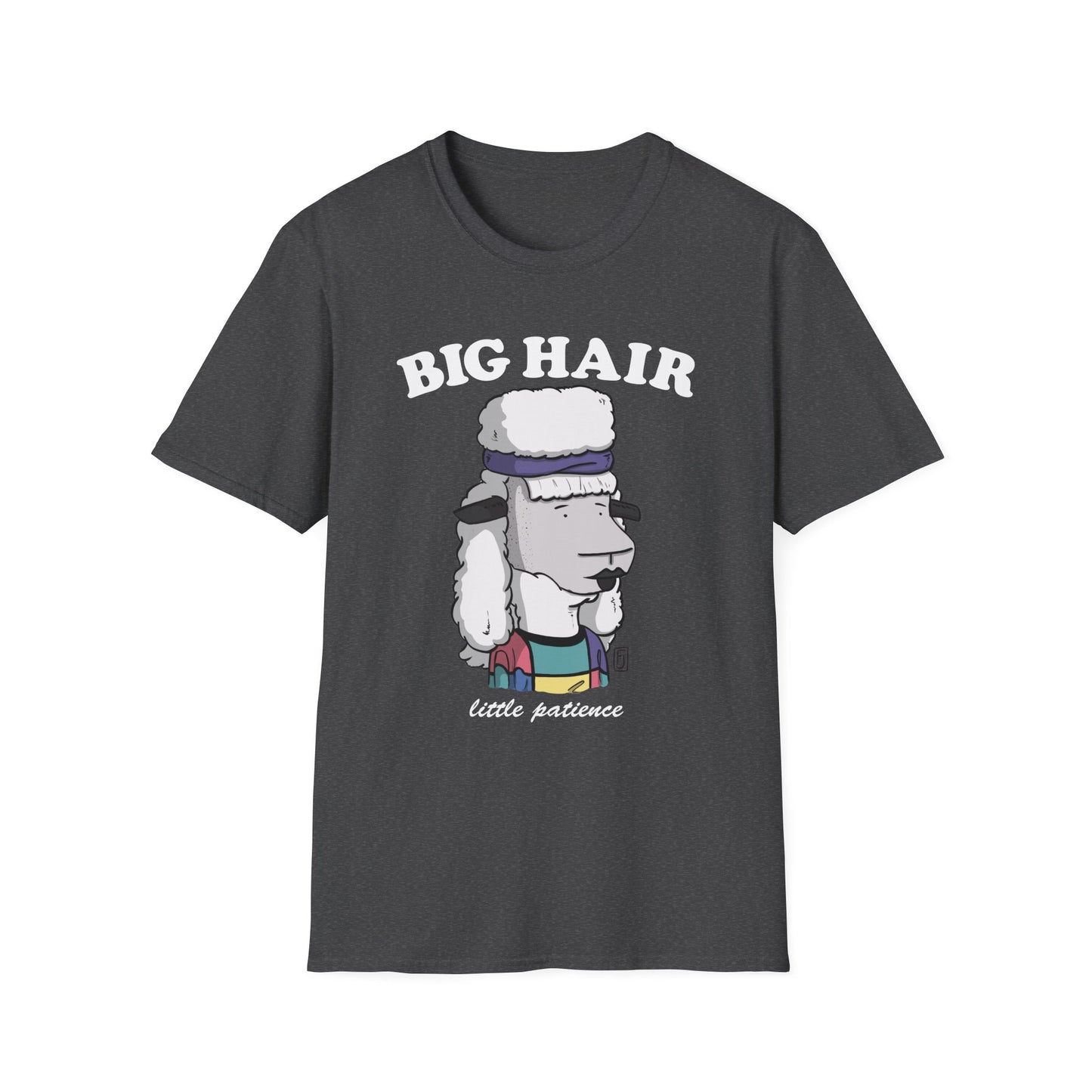 Big Hair Little Patience T-Shirt