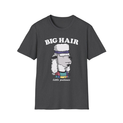 Big Hair Little Patience T-Shirt