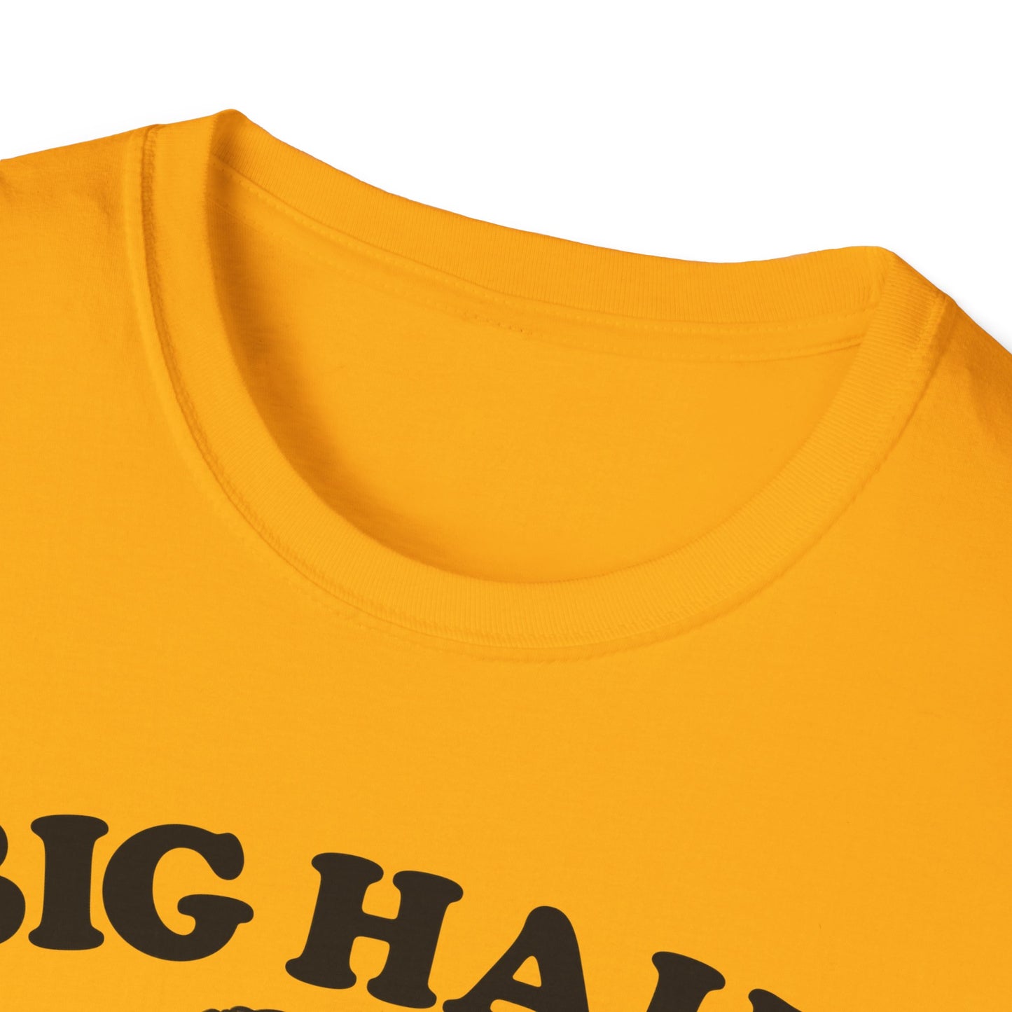 Big Hair Little Patience T-Shirt